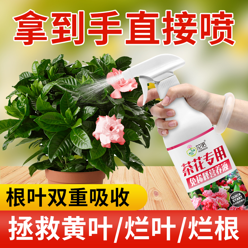茶花肥料专用肥免稀释山茶花专用营养液叶面肥喜酸性植物开花肥料