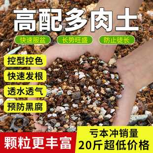 20斤多肉颗粒土多肉土专用营养土壤种植土泥大包铺面石纯颗粒花土