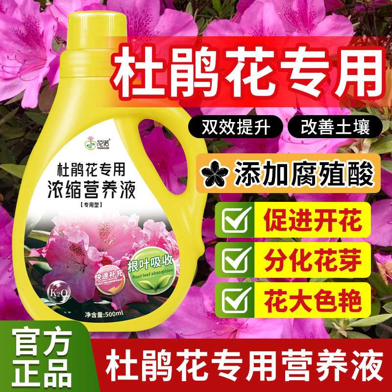 杜鹃花专用营养液叶斑病黄叶黑斑掉叶烂根养护花肥叶面肥料专用肥,鲜花速递/花卉仿真/绿植园艺,家庭园艺肥料,淘宝优惠券,粉丝福利购,淘宝优惠卷