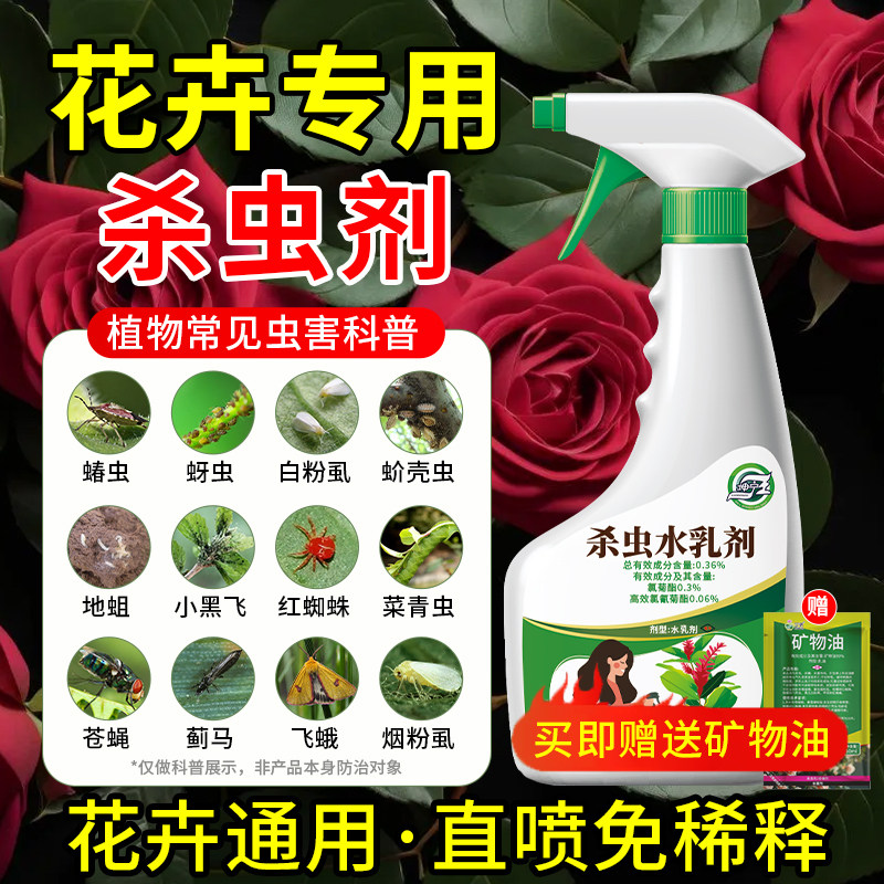 除蚜虫非红蜘蛛绿植专用常用药