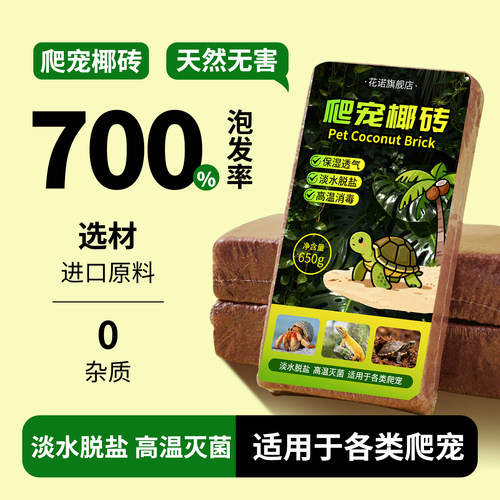 爬宠椰土乌龟寄居蟹椰砖蜗牛过冬