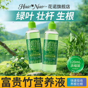 富贵竹专用营养液治叶子发黄转运竹节节高文昌竹水竹水培植物生根
