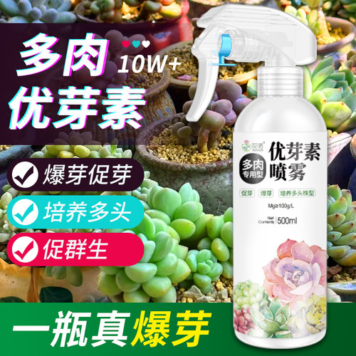 促进多肉群生爆芽促芽专用优芽素