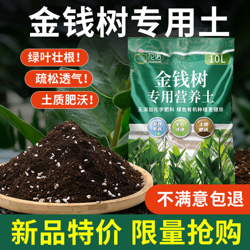 金钱树专用土营养土有机疏松透气