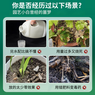 营养液植物通用型花肥料发财树水培富贵竹绿萝叶面喷施免稀释盆栽