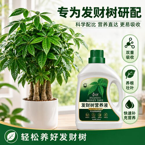 发财树肥料专用肥营养液通用花肥