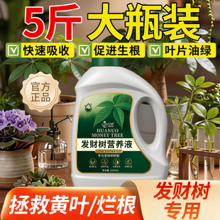 发财树营养液肥料专用肥专治烂根掉叶黄叶室内盆栽绿植物花肥通用