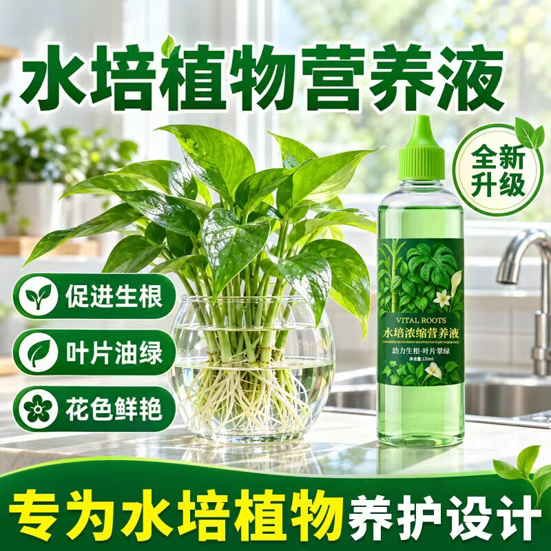 水培植物营养液通用型绿萝富贵竹转运竹郁金香铜钱草发财树专用肥