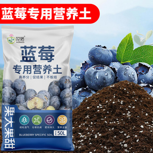 蓝莓专用土营养土盆栽酸性土壤种植土泥炭土疏松透气有机花土花泥