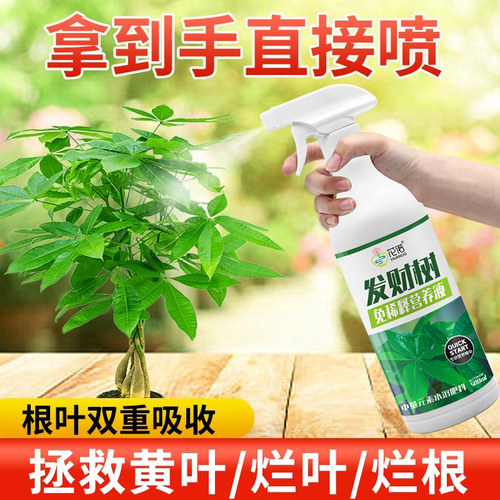 花诺发财树专用免稀释营养液