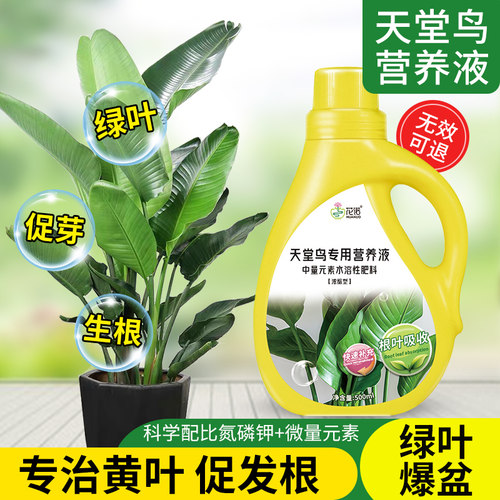花诺天堂鸟专用营养液