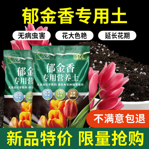 郁金香专用土营养土疏松有机肥沃