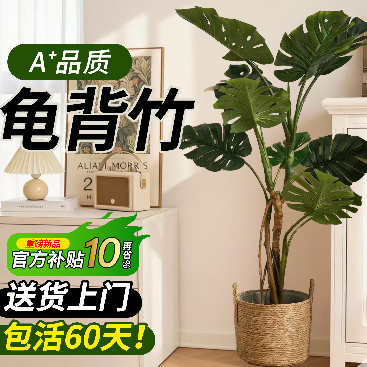 龟背竹客厅大盆栽老桩大叶室内大型落地绿植物高级感盆景懒人好养,鲜花速递/花卉仿真/绿植园艺,大型绿植/成品组合盆栽,淘宝优惠券,粉丝福利购,淘宝优惠卷