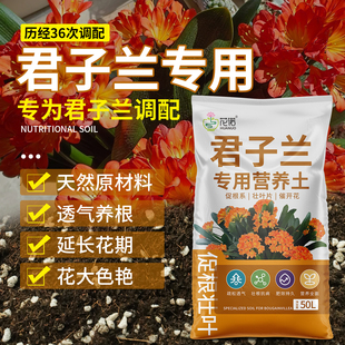 君子兰专用土营养土兰花通用专用泥炭兰花科土肥料有机种植土壤