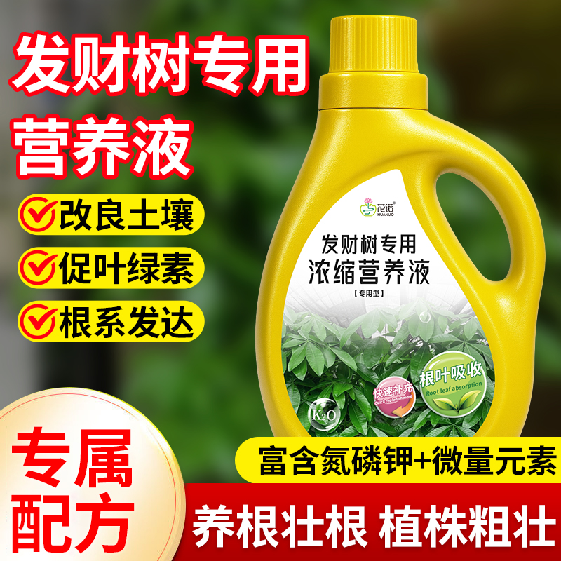 发财树营养液肥料专用肥