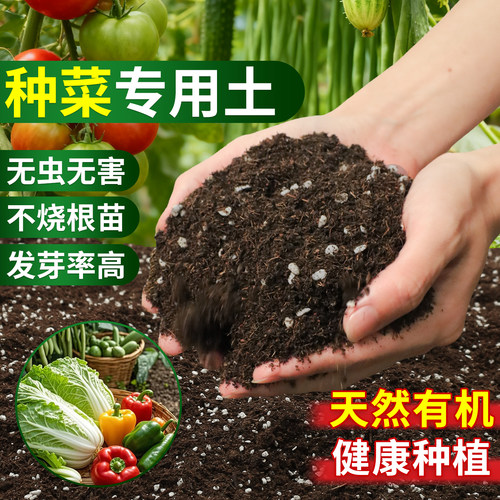营养土种菜专用土阳台蔬菜土种植