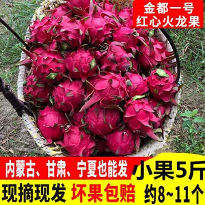 [红心火龙果小果5斤净重现摘小个一级迷你果金都一号实惠装]