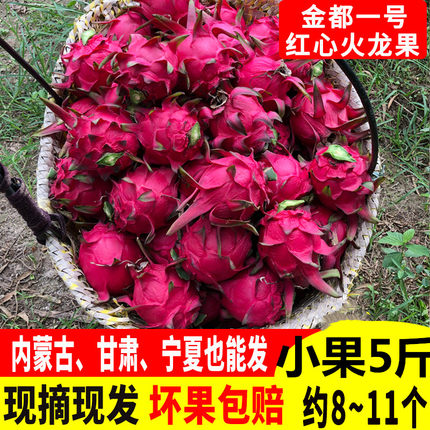 红心火龙果小果5斤净重现摘小个一级迷你果金都一号实惠装