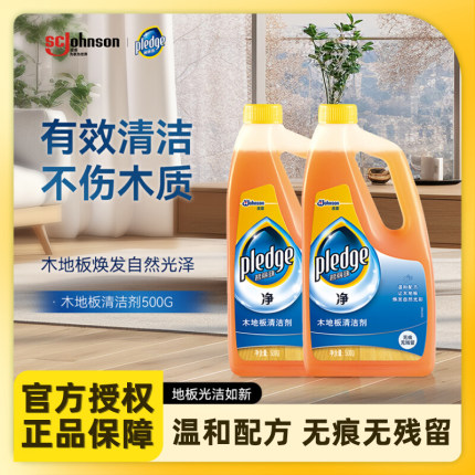 碧丽珠木地板清洁剂家用实木复合地板清洗去污拖木地板专用清洁液