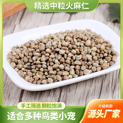 新货麻子鹦鹉饲料大颗粒