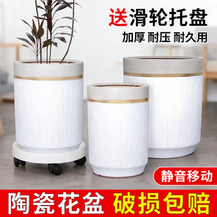 厂家直销陶瓷大花盆大号特大号落地家用室内外天堂鸟龙血树送托盘