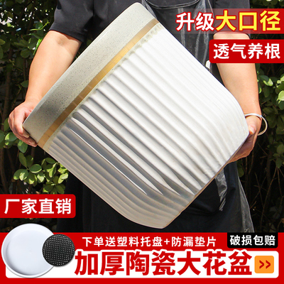 新款欧式简约圆柱陶瓷大花盆