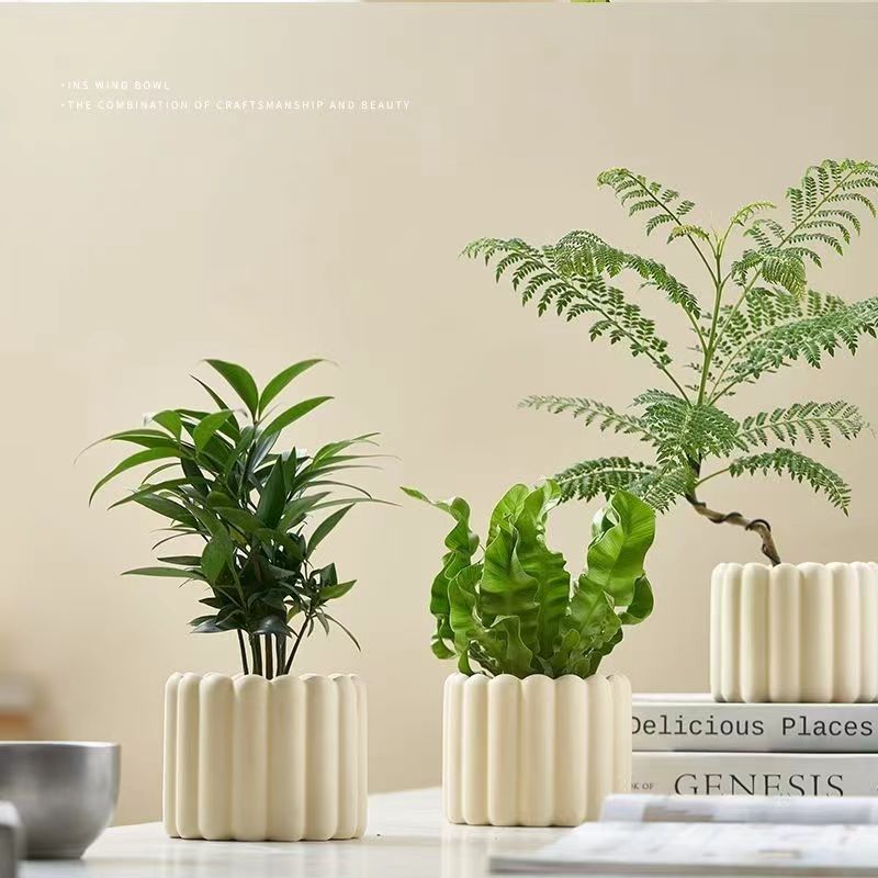 北欧绿植ins甜甜盆栽四季常青桌面轮胎摆件简约发财树网红植物