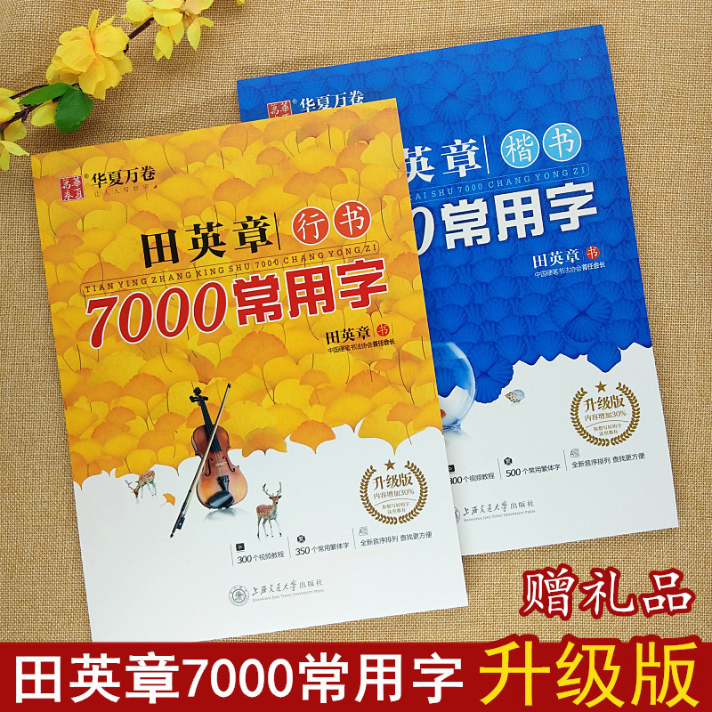 田英章书楷书字帖7000常用字田英章楷书入门正楷初学者成人钢笔字帖行书字帖大学生硬笔字临摹练字帖华夏万卷 书籍/杂志/报纸 练字本/练字板 原图主图