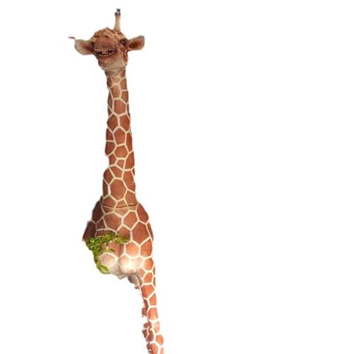 设计长颈鹿粘毛模型还原生动逼真商场美陈动物园