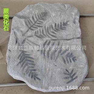 玻璃钢鱼类化石三叶虫龙模型科普教学地质古生物动物标本原石雕塑