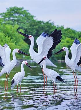 仿真户外雕塑白鹤摆件玻璃钢水池塘白鹭装饰花园林鸟景观仙鹤模型