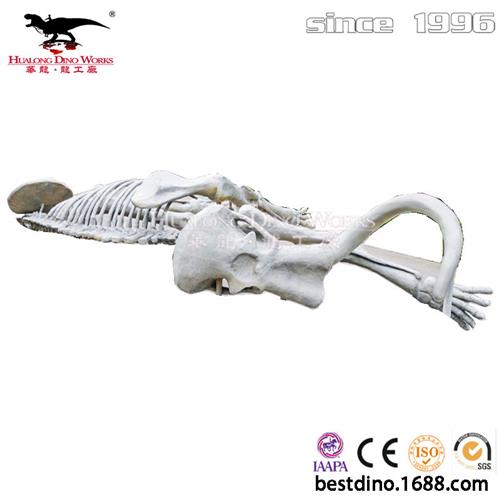 大型仿真猛犸象化石模型摆件科普玻璃钢动物化石骨架模型电影道具