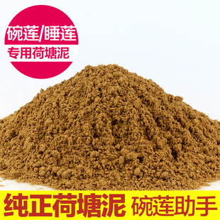 睡莲莲藕天然荷塘泥碗莲睡莲专用泥水生植物塘泥河泥河塘泥淤泥