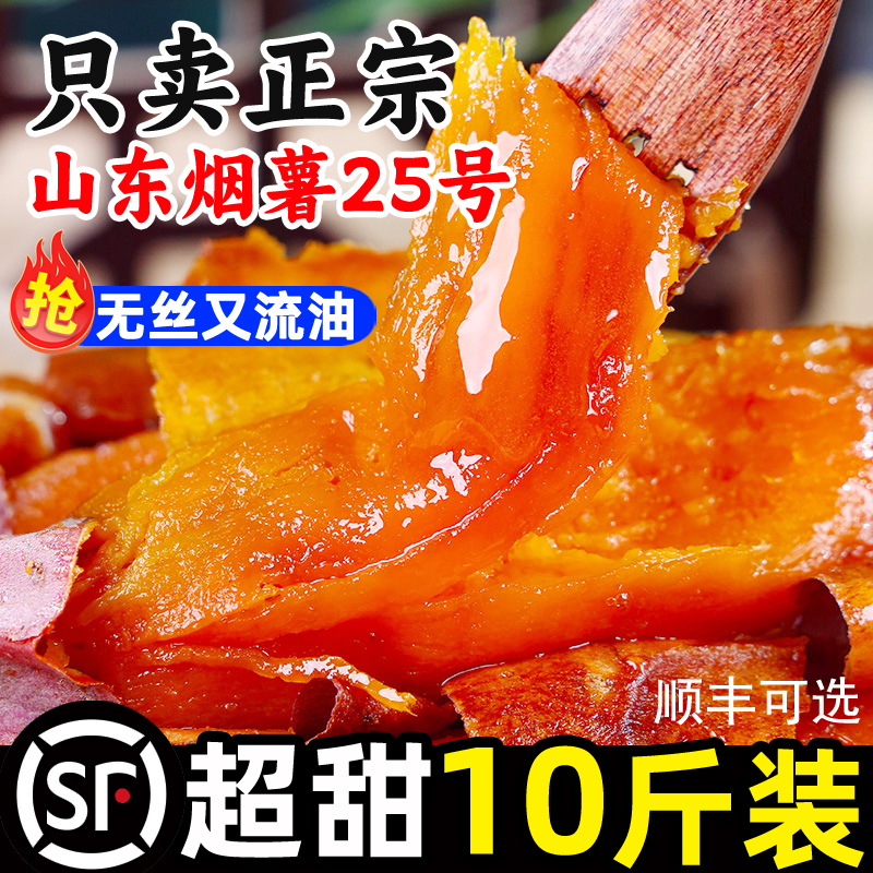 【10斤装】山东正宗烟薯25号