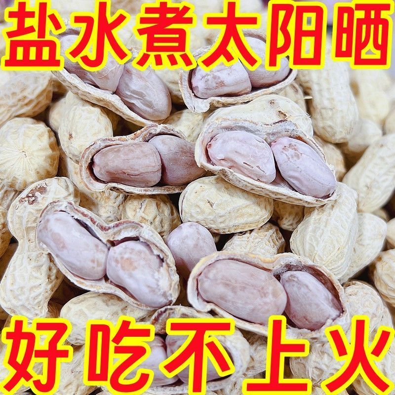 新货】26水煮花生龙岩新货晒干盐水带壳五香正宗咸干农家零食批发