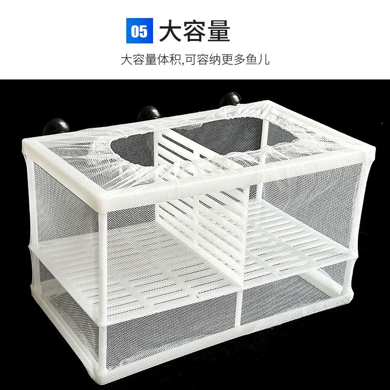 鱼缸内隔离网水族箱盒孔图片