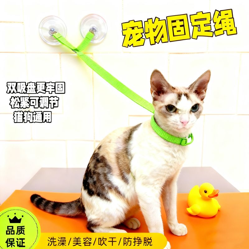 狗狗洗澡固定器宠物吸盘