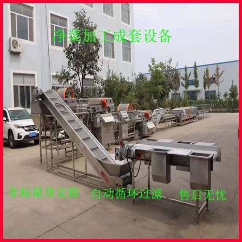 全自动气泡清洗机商用莴笋净菜加工清洗设备高压喷淋果蔬气泡清