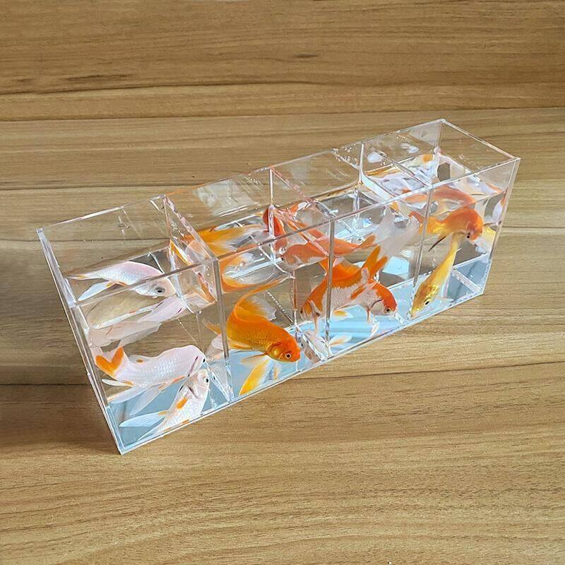 养虾专用缸透明小型斗鱼