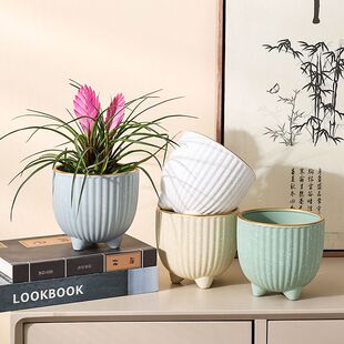 多肉花盆带托盘一体室内轻奢家用可爱创意多肉绿植大盆栽蝴蝶兰发