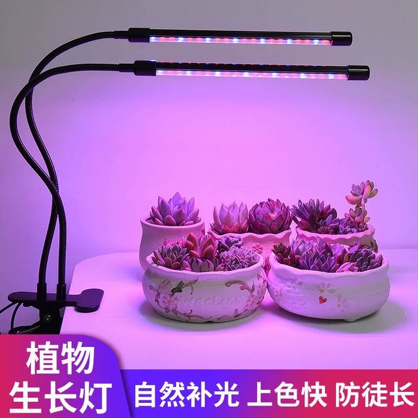 多肉补光灯全光谱仿太阳光植物生长灯室内家用上色LED紫光灯花卉