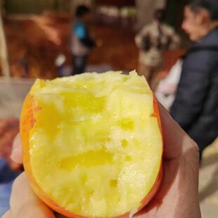 正宗冰糖心小苹果新疆阿克苏红旗坡六队苹果当季新鲜水果包邮包甜