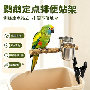 鹦鹉花椒木站杆站架拉粑粑专用多功能垃圾桶定点排便拉屎夹子创意