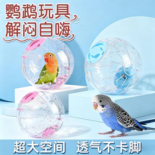 鹦鹉解闷啃咬滚球飞碟玩具