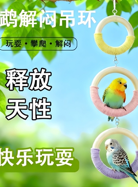 鹦鹉玩具秋千攀爬吊环防滑互动解闷鸟笼装饰牡丹虎皮玄凤玩具挂件