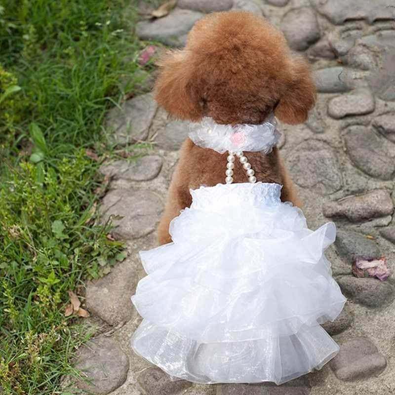 Pets Small dogs Kitty Spring and summer clothes Thin section white Wedding dress marry full dress Dress Teddyin the Pet/Pet food and supplies , Pet apparel and accessories , Pet clothing/Raincoat  category - from Buy2taobao.com to provide professional Taobao agent buy service
