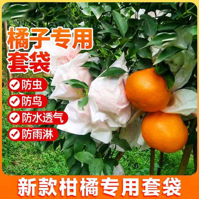 水果套袋包装袋防虫防鸟