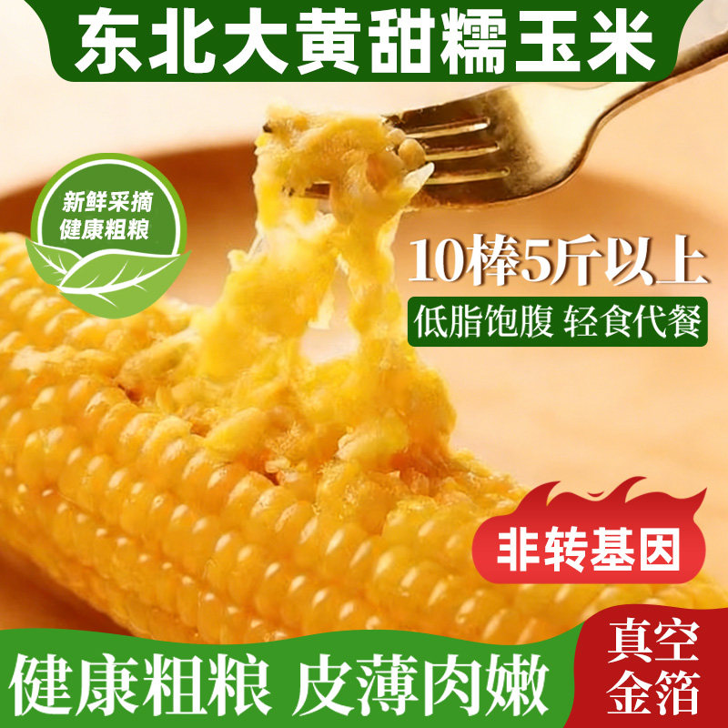 东北香甜黄糯玉米新鲜现摘真空装加热即食黏黄糯玉米粘粒无糖精
