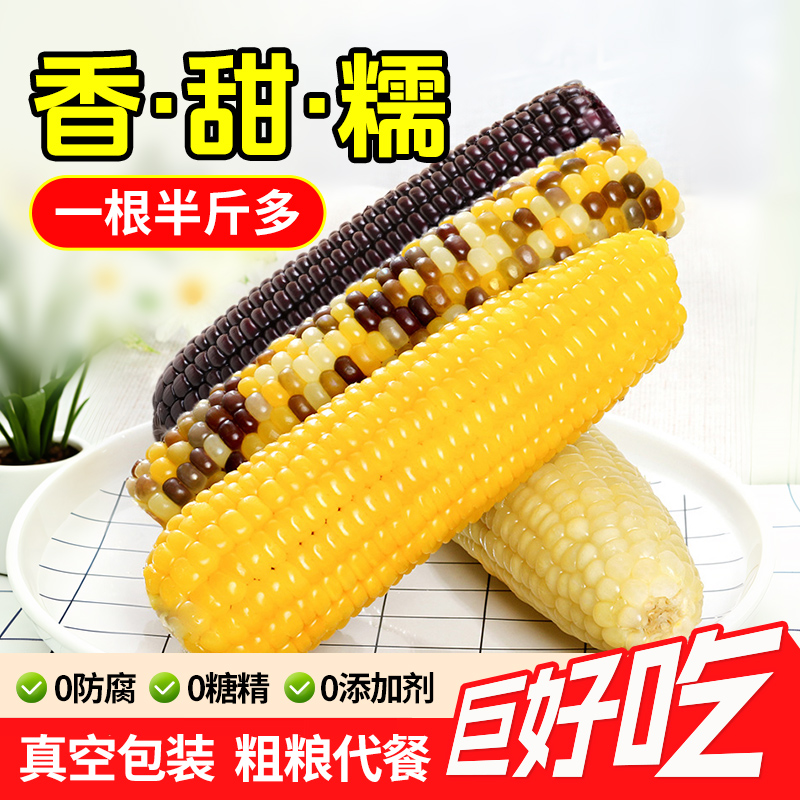10大根新鲜现摘有机白粘黄糯玉米