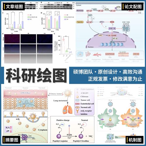 SCI科研绘图代画生物医学插画画图机制图流程图图形摘要封面美化
